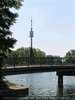 Blick vom Birner zum Donauturm