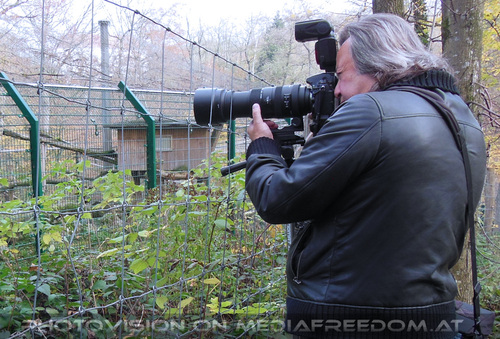 Fast im K�fig: Charly Swoboda