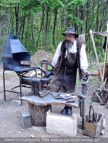 Elfen, Gnome und Druiden 13