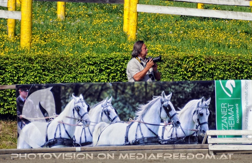 Die Lipizzaner Heimat 057