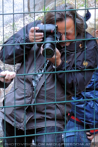 Schneeleoparden F�tterung 07