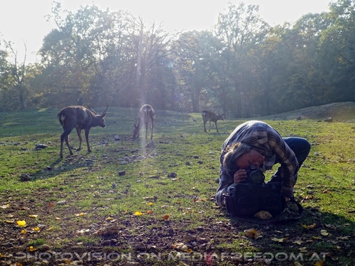 Wildpark 53: Charly Swoboda