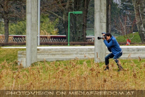 Natur in der Stadt 10