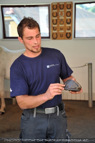 Lipizzaner Heimat 10