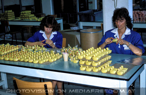 Parfumerie Fragonard 3