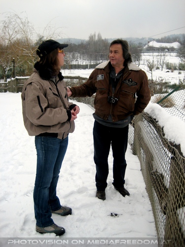 Arktischer Wolf - F�tterung 08: Charly Swoboda