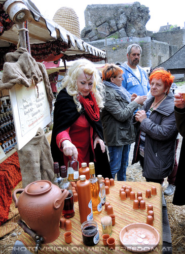 Elfen, Gnome und Druiden 65