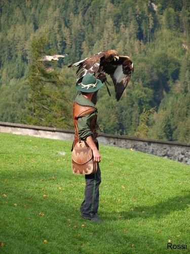 Falkner auf Burg Hohenwerfen