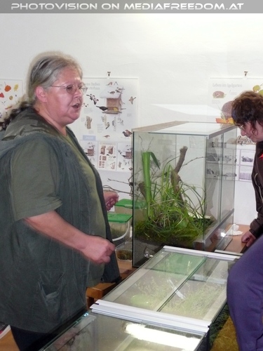 Besucher F�hrung 05