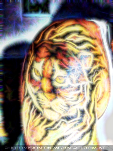 Tiger Morphing 04