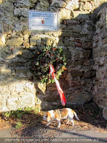 Abwehr der T�rken vor Wien