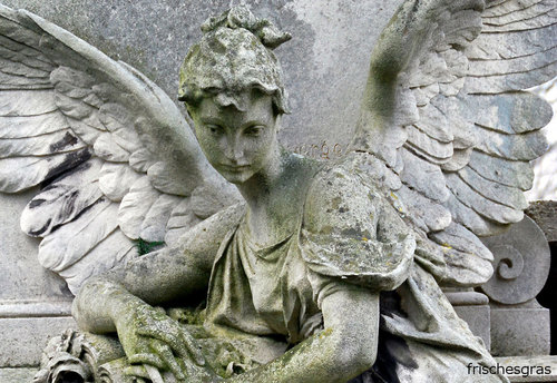 Engel - Wien Penzing