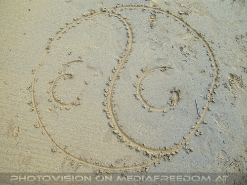 Bella spiaggia giornata 13