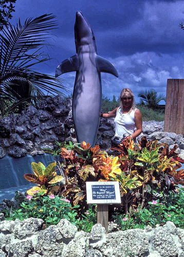 Dolphin Research Center 02