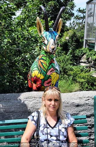 Zwei bunte Steinb�cke