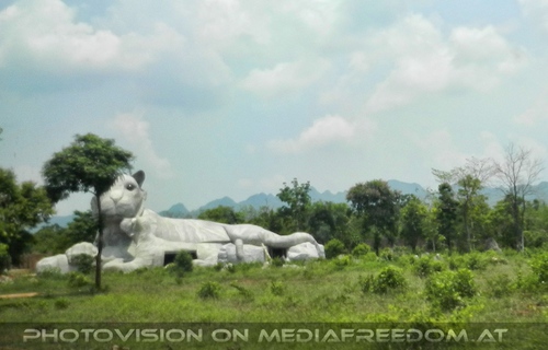 The B-Day of the Tigerman Pix 149