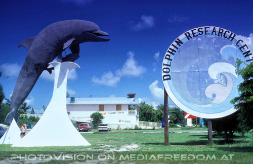 Dolphin Research Center 01