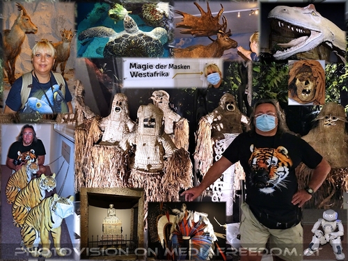 Zeitreise durch die Evolution