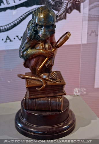 Im neuen Affenhaus 04