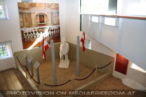 Wieder im Gest�t 02