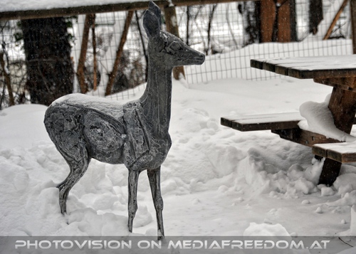 Reh im Schnee