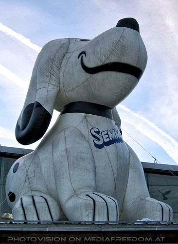 Semmi Professionell 12: Semmi