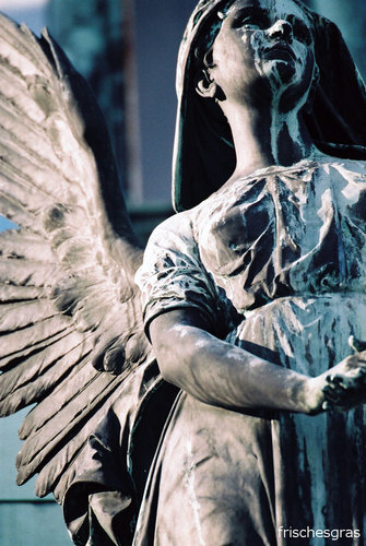 Engel - Wien Ober Sankt Veit