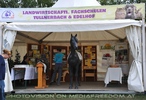 Landwirtschaft Fachschulen Stand