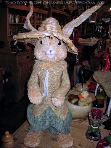 1000 sch�ne Dinge 09