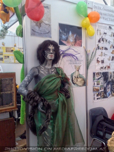 Hund, Katz und Co 03