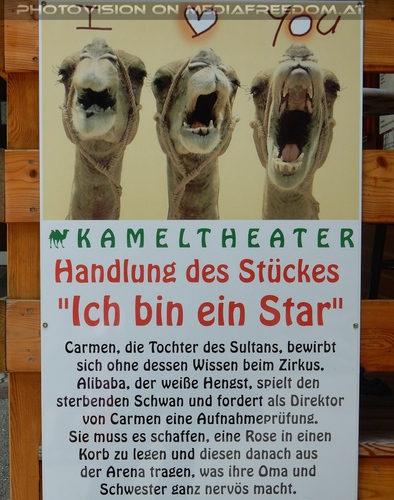 Ich bin ein Star 32
