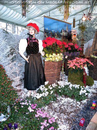 Hirschstettner Advent 10