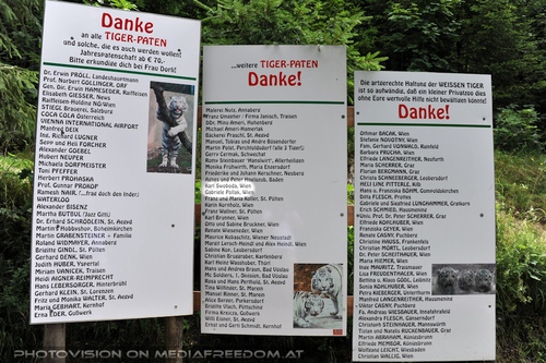 Abschied von den Tiger-Drillingen 001