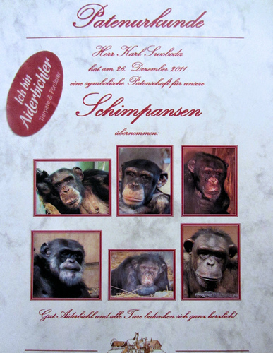 Patenweihnacht 77: Charly Swoboda