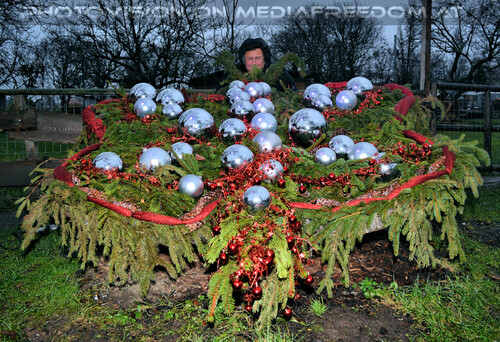 1. Advent 22: Charly Swoboda