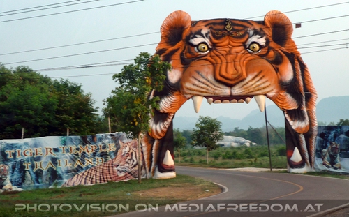 The B-Day of the Tigerman Pix 001