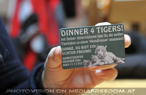 Die wei�en Tiger Vierlinge 29