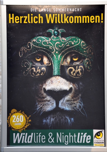 Wildlife and Nightlife - Pix 103