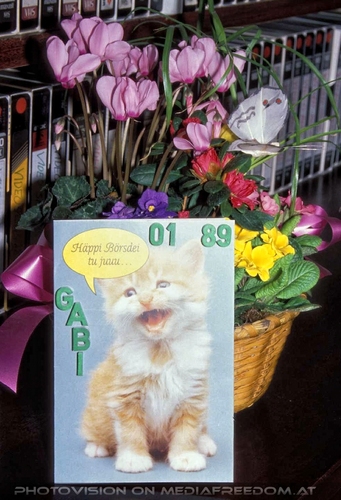 H�ppi B�rsdei tu juuu 1