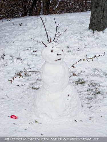 Winterlich 27 Schneemann