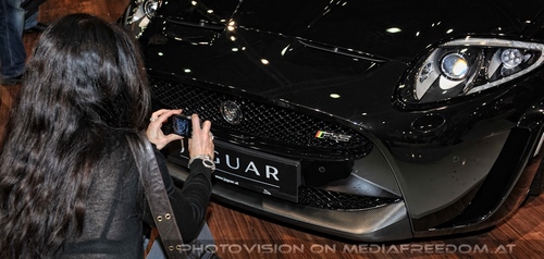 Beauties and Beasts 19 - Jaguar