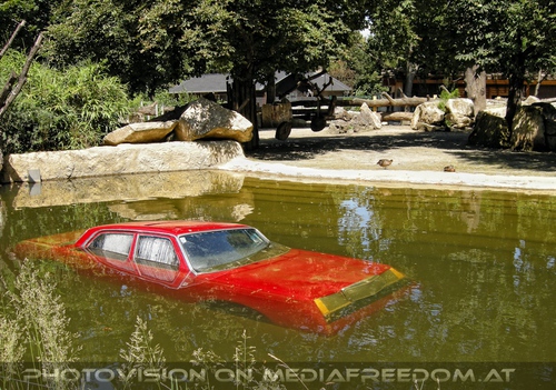 Autowrack im Nashorn Gehege