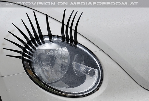 Club der Freunde des Lipizzanergest�ts 86