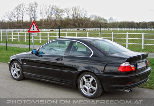 Pferdest�rken 11: MediaFreeMobile