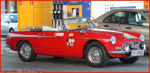 Schau, das Auto !: Oldtimer