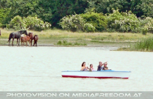 Bootfahren nahe der Pferde