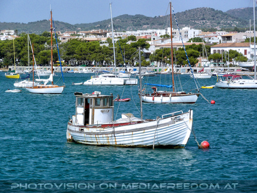 Glass bottom boat tour 24