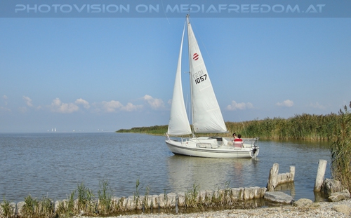 Segelboot im Neusiedler See