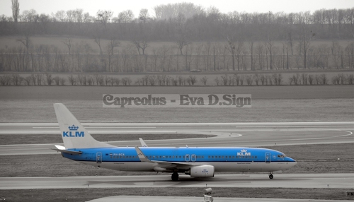 Gelandet: Flugzeug der Linie KLM