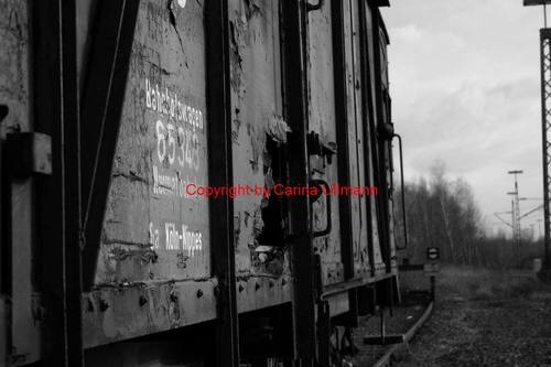 Bis ans Ende der Welt...